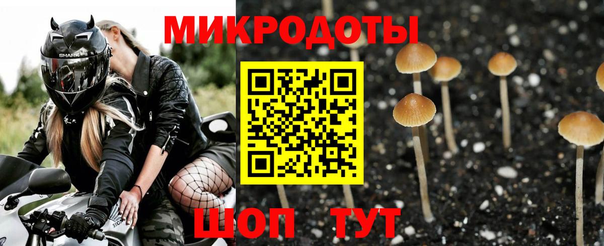 Избербаш  Галлюциногенные грибы Cubensis  Вход с VPN  Галлюциногенные грибы мицелий 